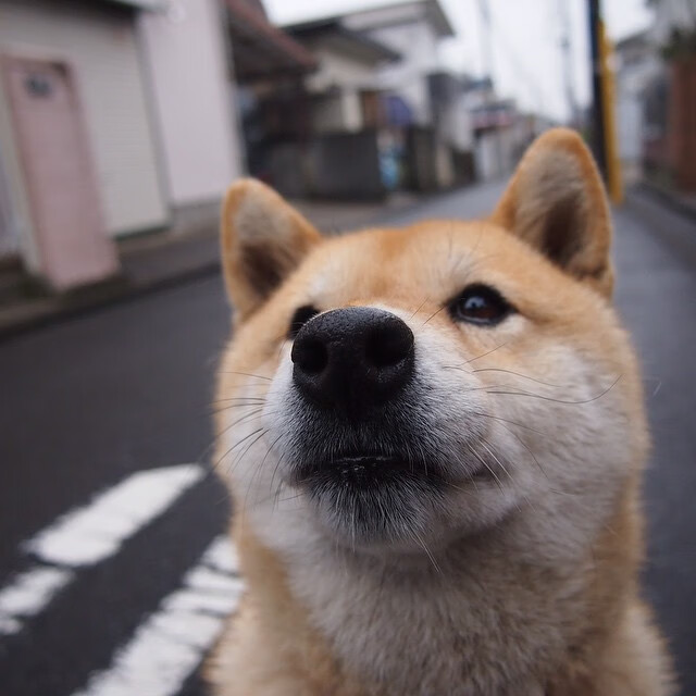 “青少年足球比赛TV直播,吸引更多青少年关注”,青少年足球比赛直播软件