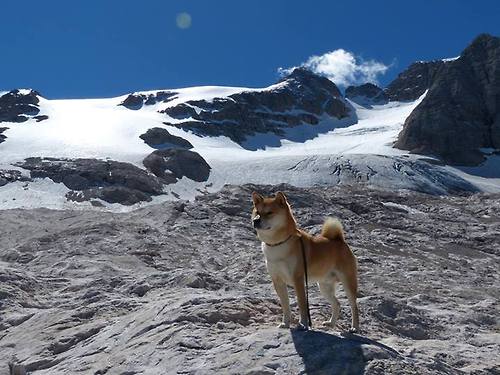 爱游戏电竞官网-【心理调适】明星球员在比赛高压下的应变之道