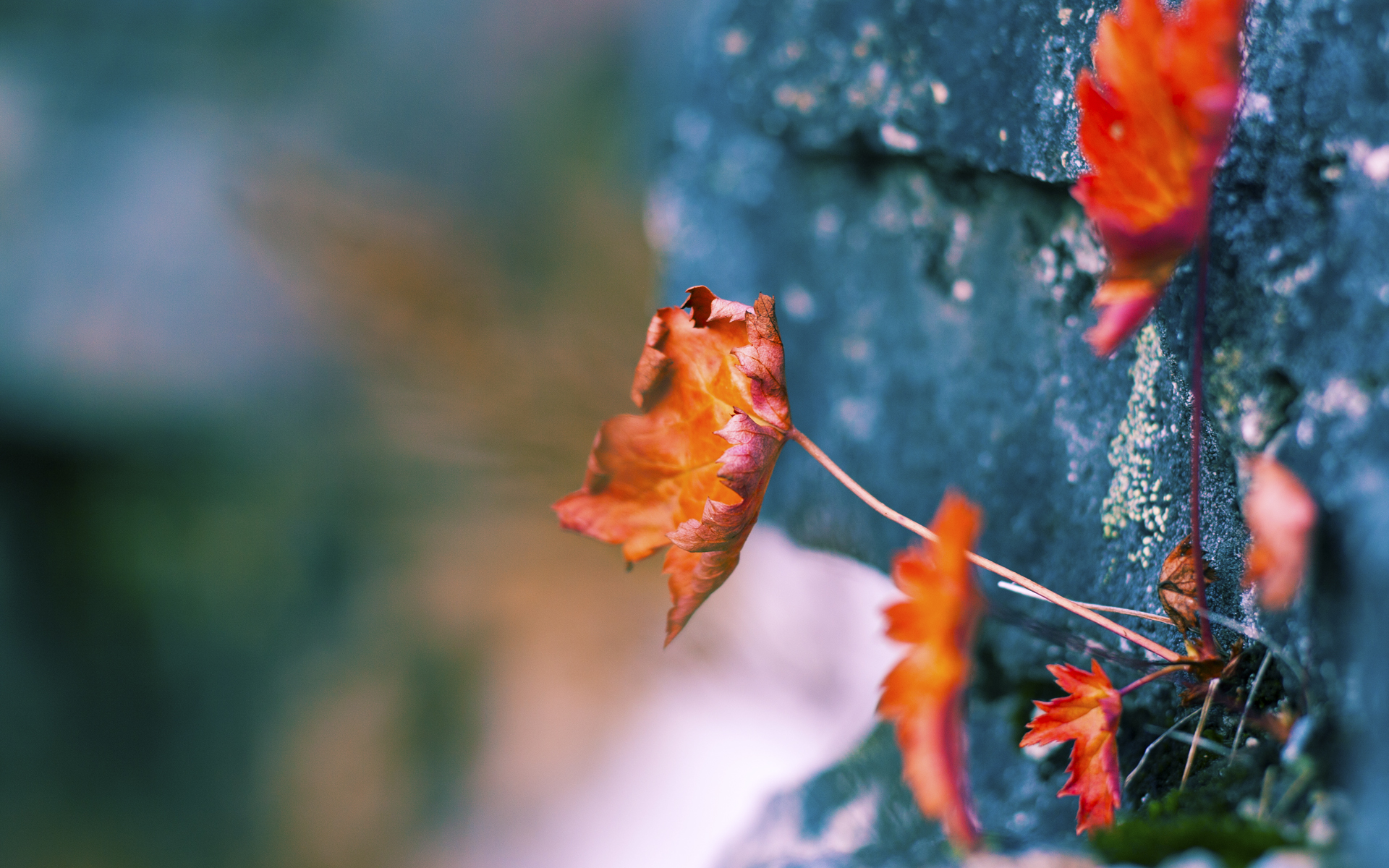 爱游戏体育app-多元化比赛：混合性别、年龄组合的创新尝试，混合多元化例子