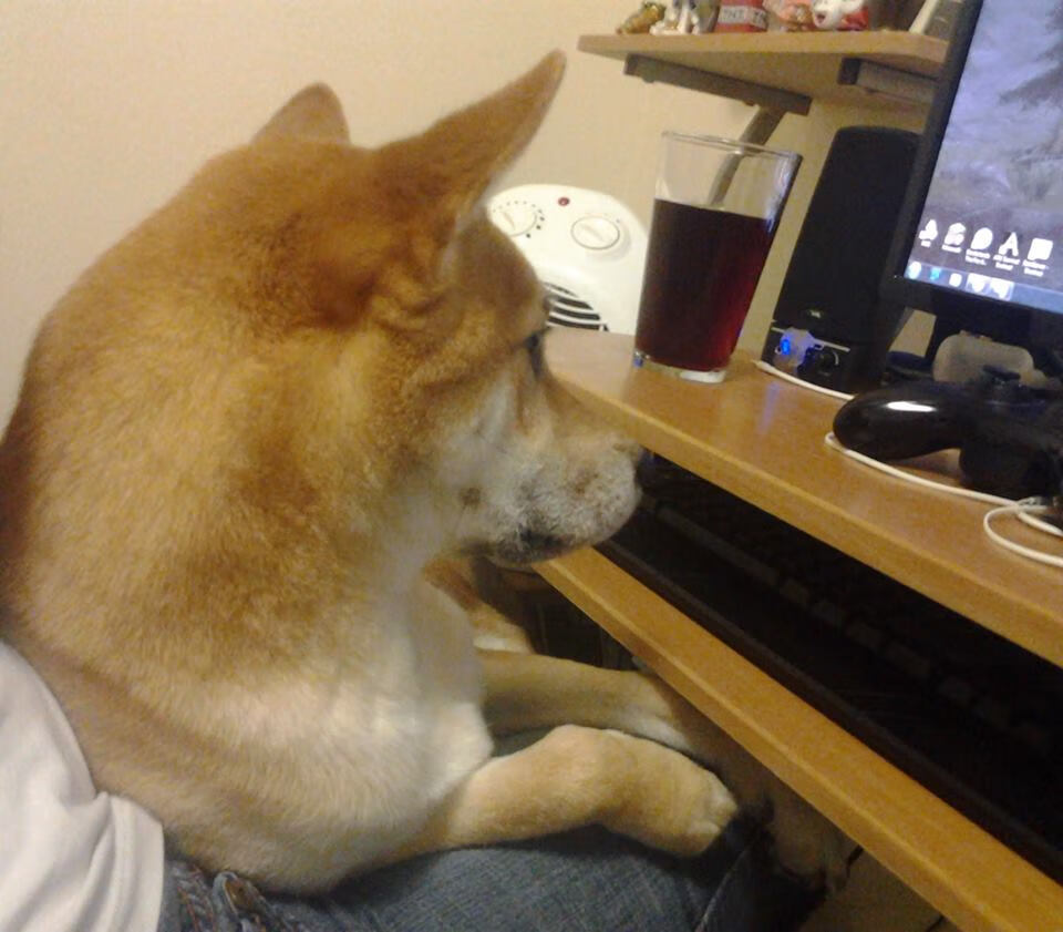 爱游戏娱乐网址-推动瑜伽与其他运动项目的融合发展，瑜伽与健身怎么结合