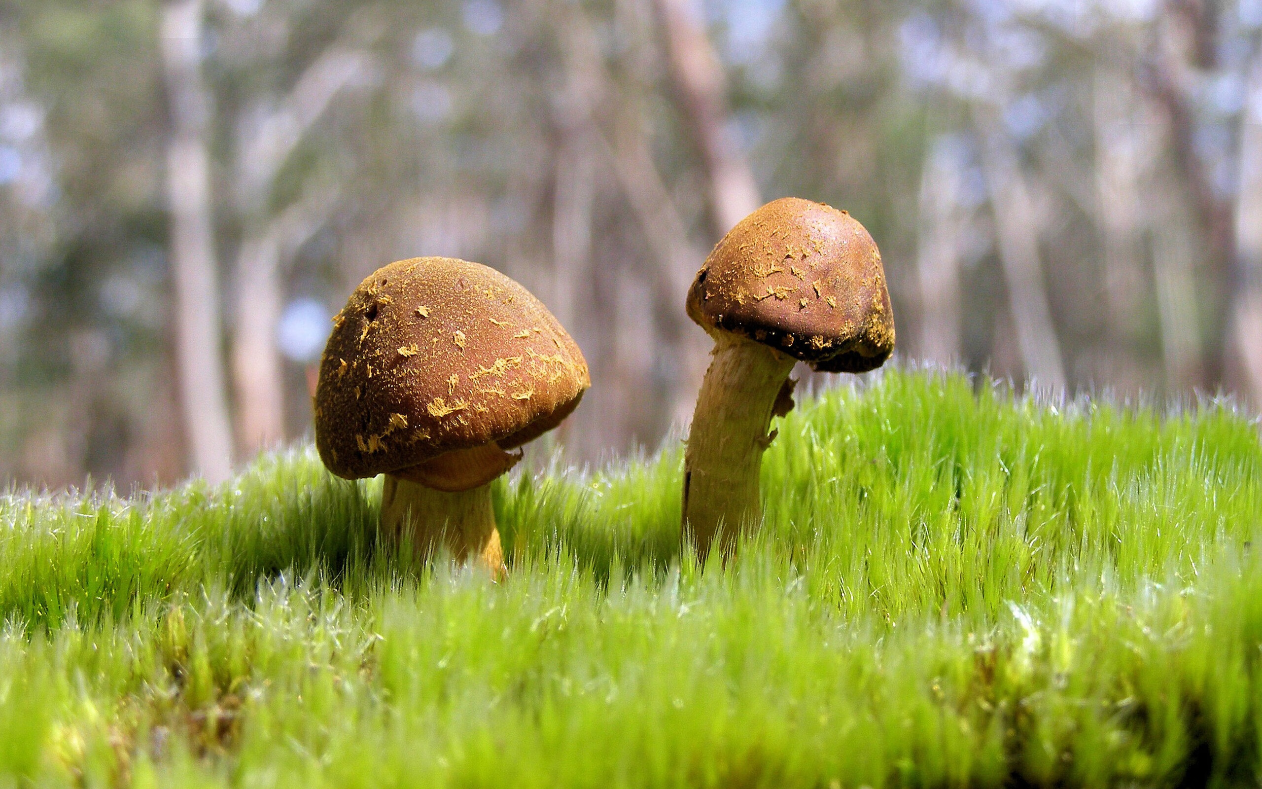 爱游戏app下载-青少年足球创新教育模式逐步推广，培养未来之星，青少年足球普及