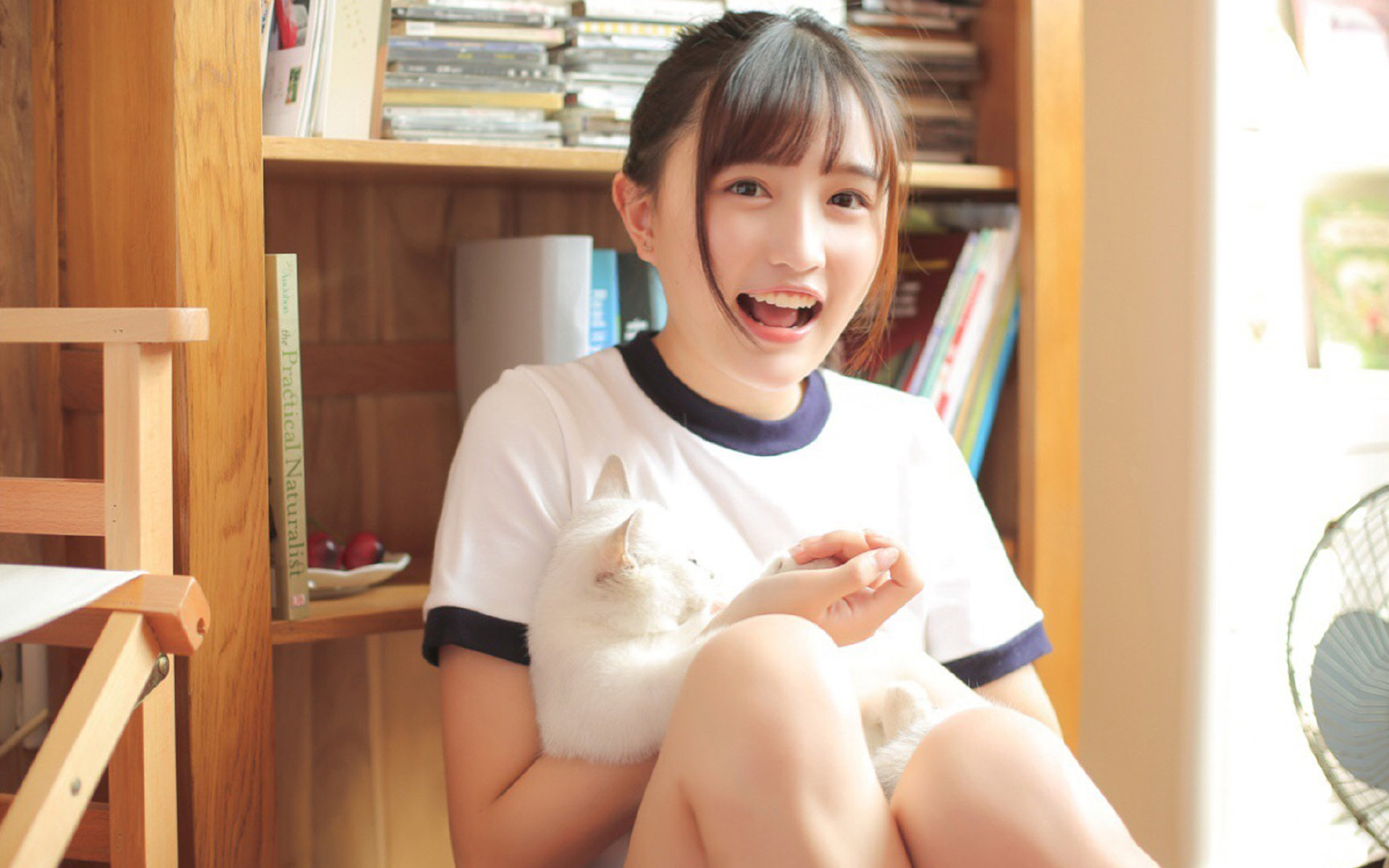 中超新赛季揭幕战,海港轻取沧州雄狮旗开得胜,中超山东_沧州雄狮比分