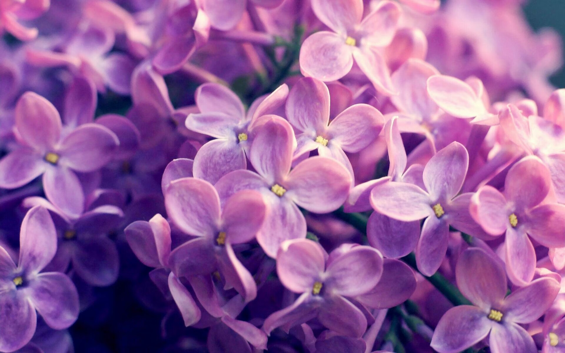 体育核心球员伤愈回归训练，体育核心球员伤愈回归训练方案