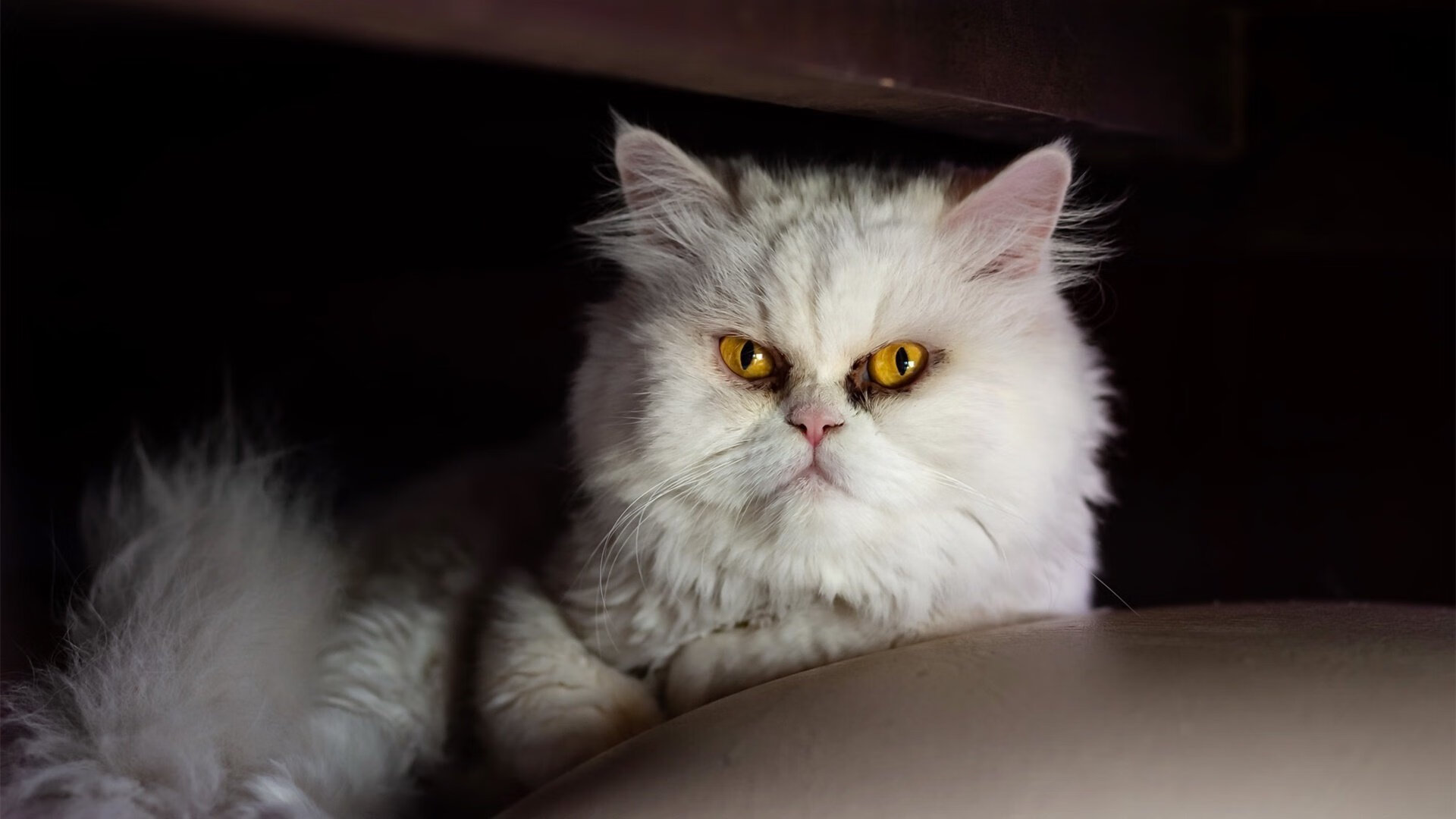 爱游戏官网-战队技术交流活动成功举办，战队分工