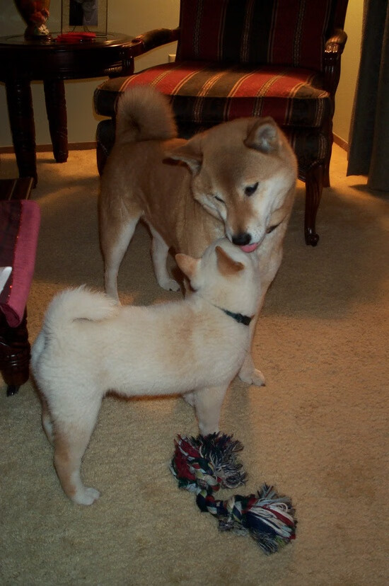 斯洛特：球队表现超出预期，目标是欧冠，斯特洛尔