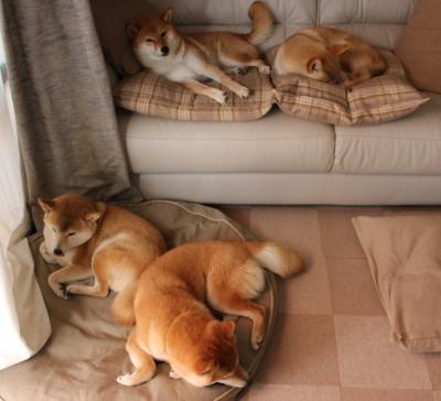 维达德卡萨布兰卡与国际媒体达成合作协议,提升曝光度,卡萨布兰卡 经典