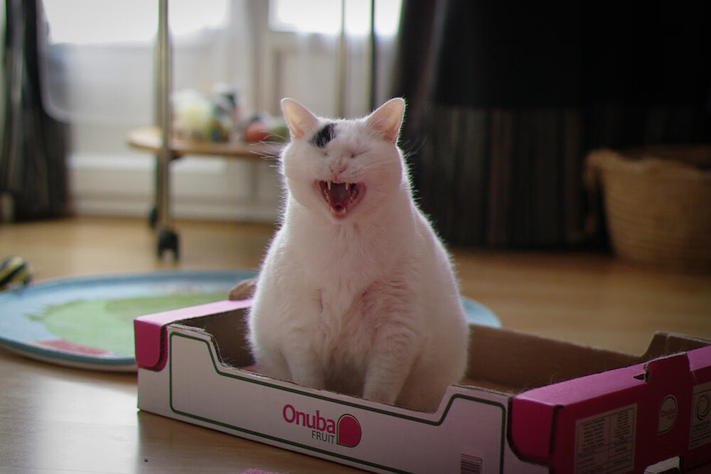 蓄势待发！国内强队展望未来战局，未来中国队