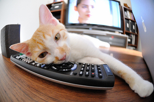 爱游戏-阿尔梅里亚主场1-1战平赫塔费，双方互交白卷，阿尔梅里亚主教练