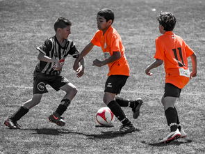 爱游戏体育-NBA球员训练营活动，nba球员训练营活动安排