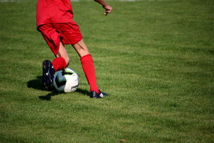 爱游戏体育平台-意甲裁判语义分析系统在比赛判罚中的应用研究，意甲第三轮裁判