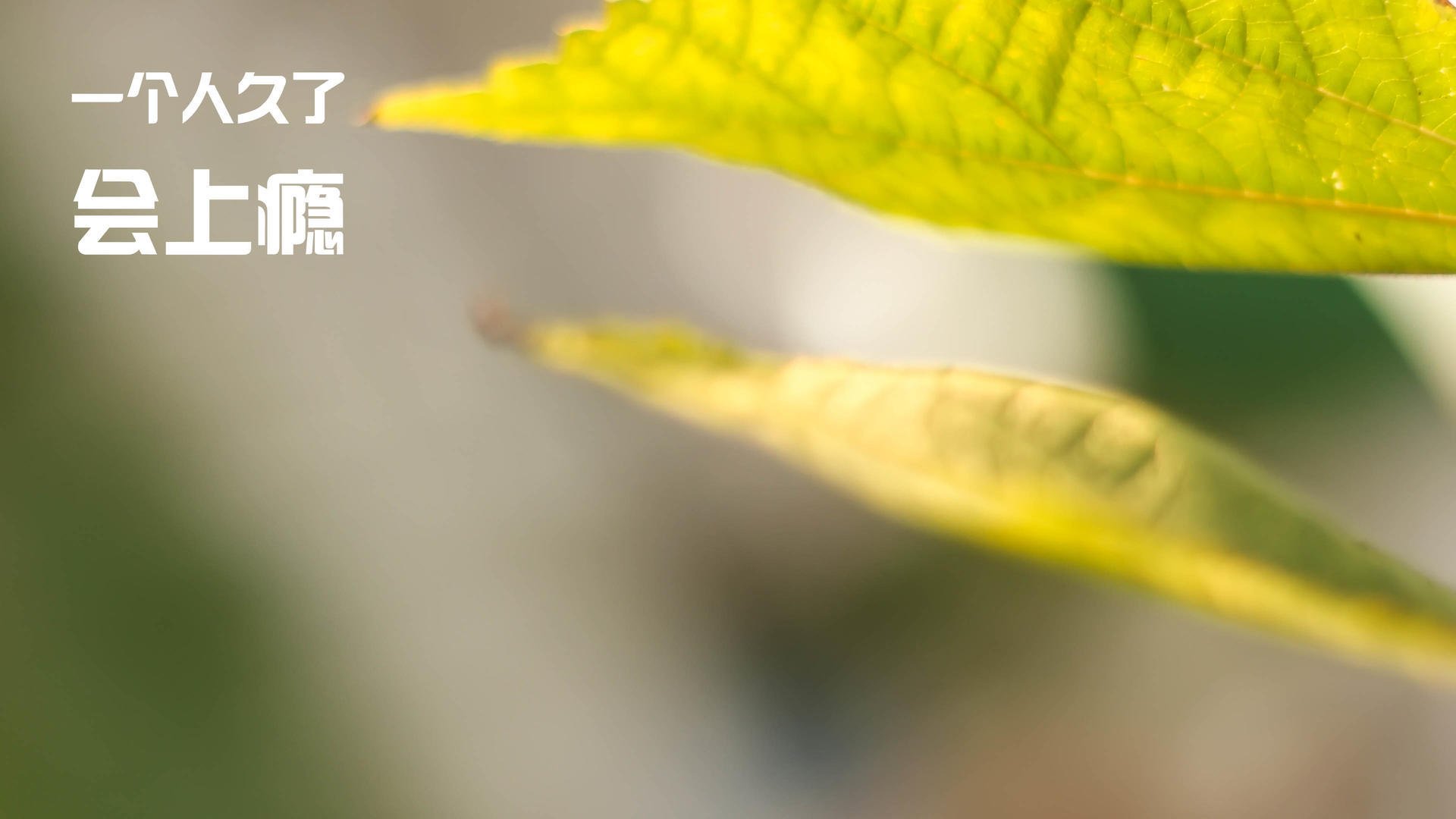 爱游戏中国官方登录入口网站-亚洲杯中国女足战胜 球员状态持续回暖，女足亚洲杯中国队成绩