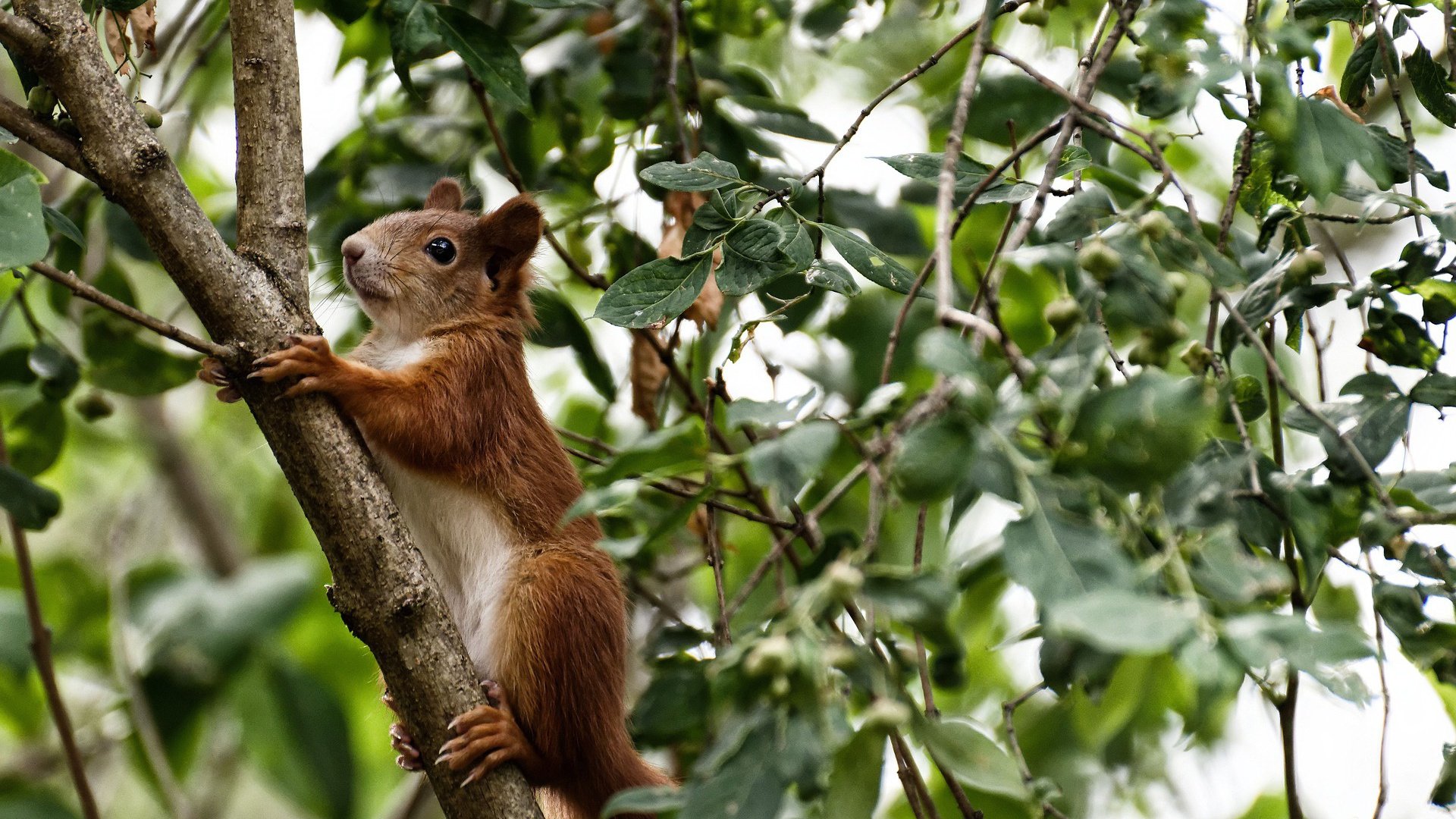 爱游戏体育（AYX）官方APP下载-冲刺阶段呼吸频率是否影响配速？，冲刺呼吸技巧