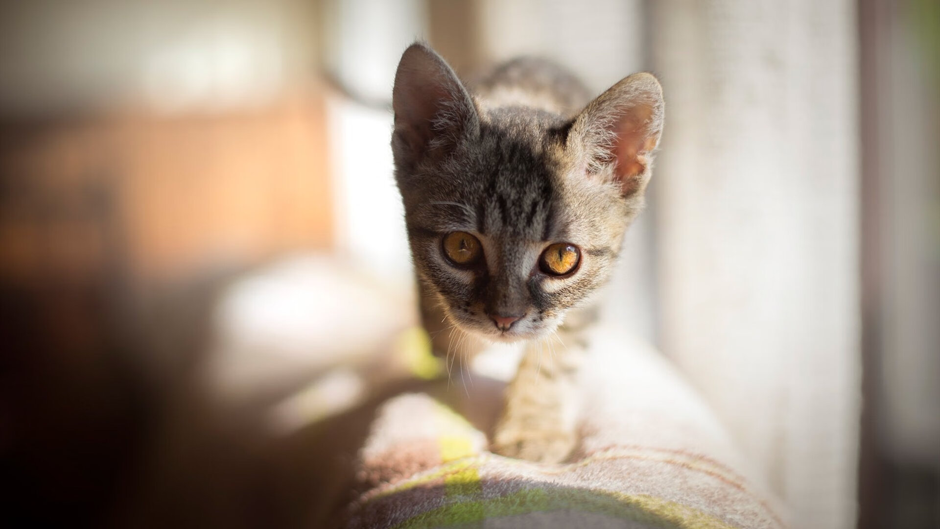 爱游戏综合娱乐-奥运备战科学制定目标计划，奥运备战科学制定目标计划表