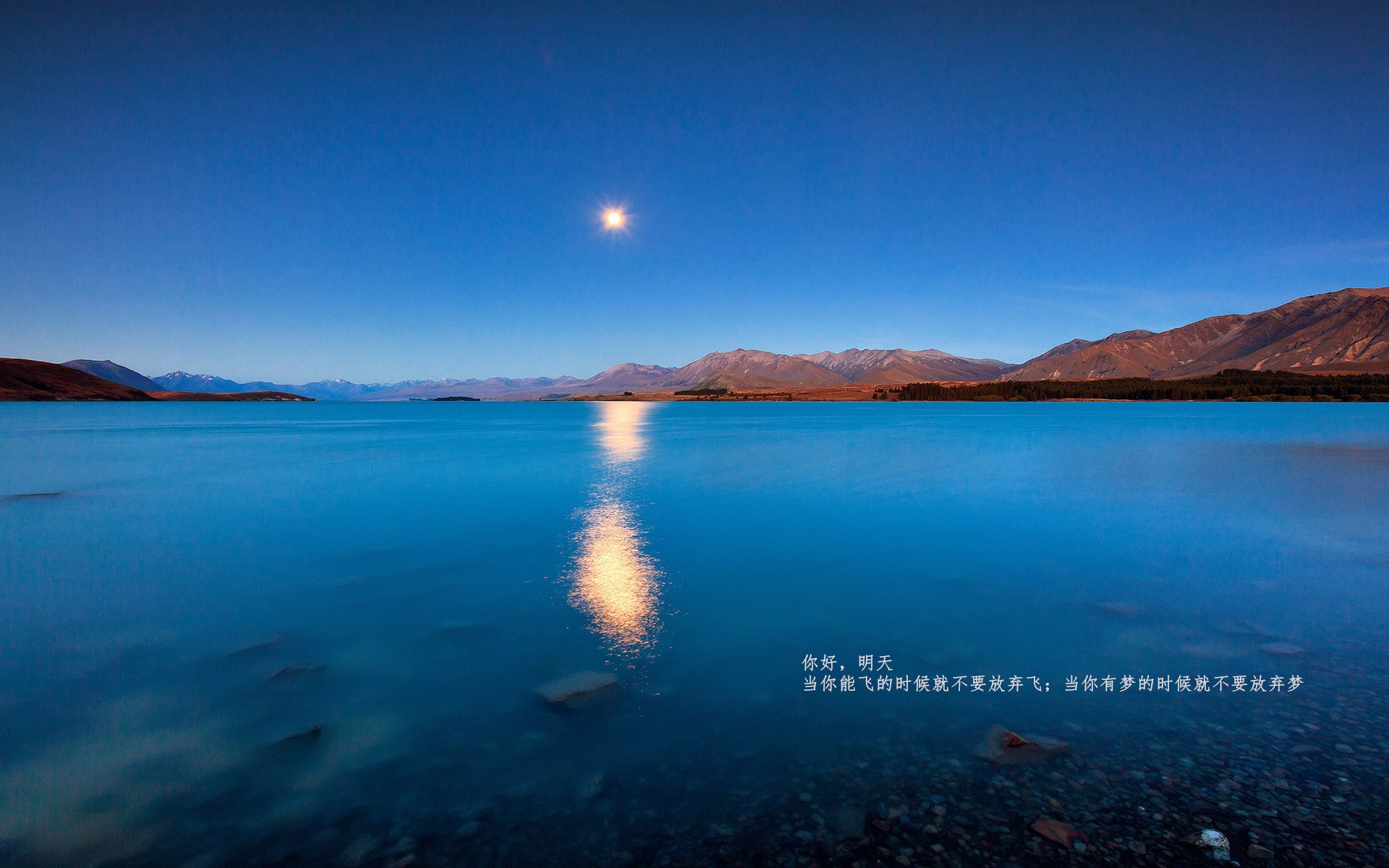 快节奏战术是否易造成外线出手仓促,快节奏的弊端