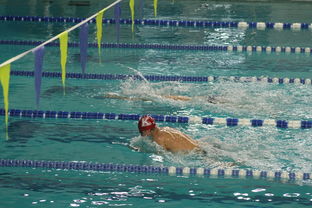 爱游戏电竞官网-张雨霏自由泳赛段发力迅速，张雨霏自由泳实力