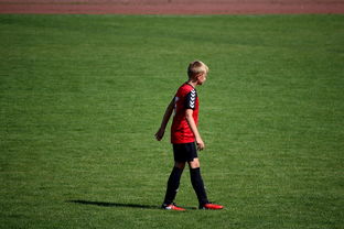 爱游戏官网充值-NBA球员高原训练对平原比赛状态的影响，平原运动员进行高原训练原因