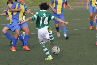 爱游戏体育平台-中国足球教练指令执行率与场面还原度分析,中国足球基层教练