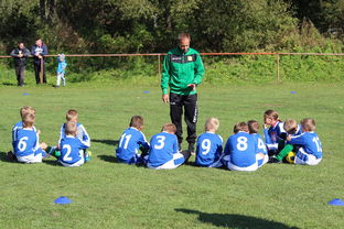 爱游戏官方网站-德甲球队构建战术模拟平台提升临场决策能力,德甲模式